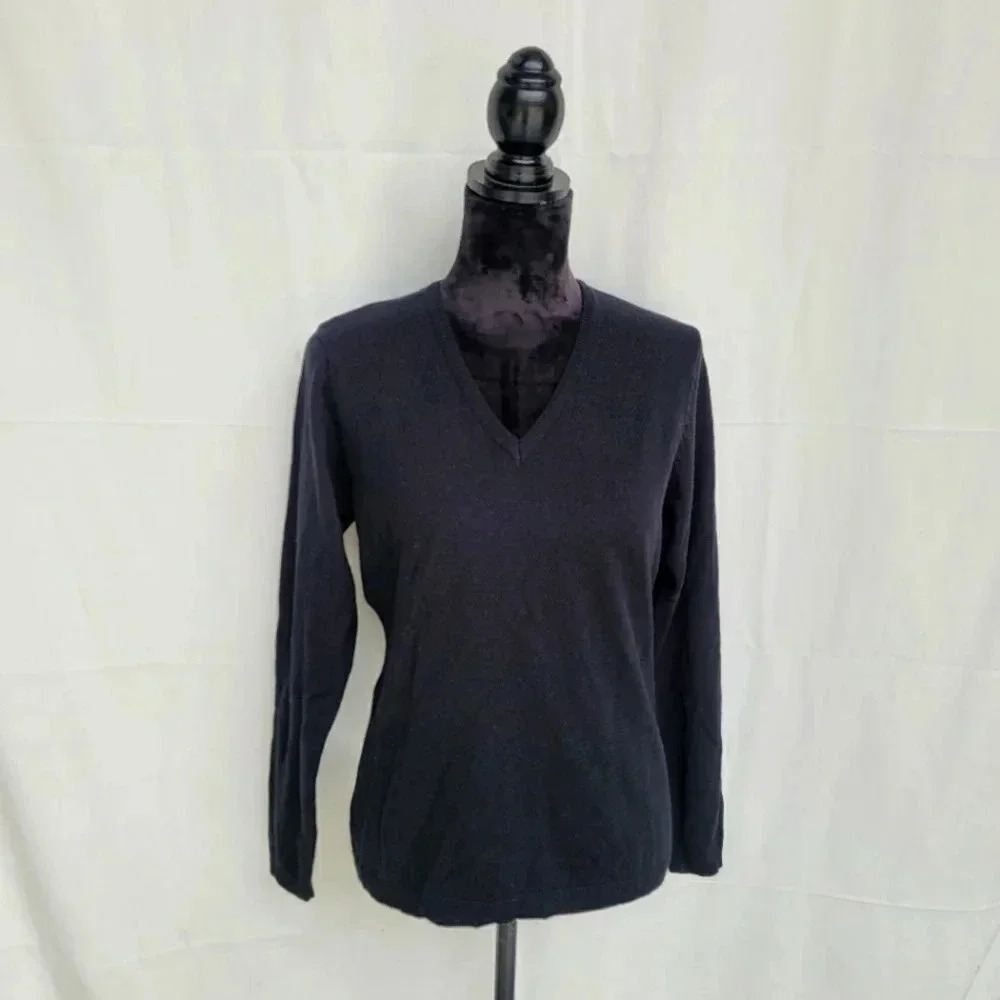 Blue Motion Womens Black V-Neck Pullover Acrylic Sweater Long Sleeve L (40/42)